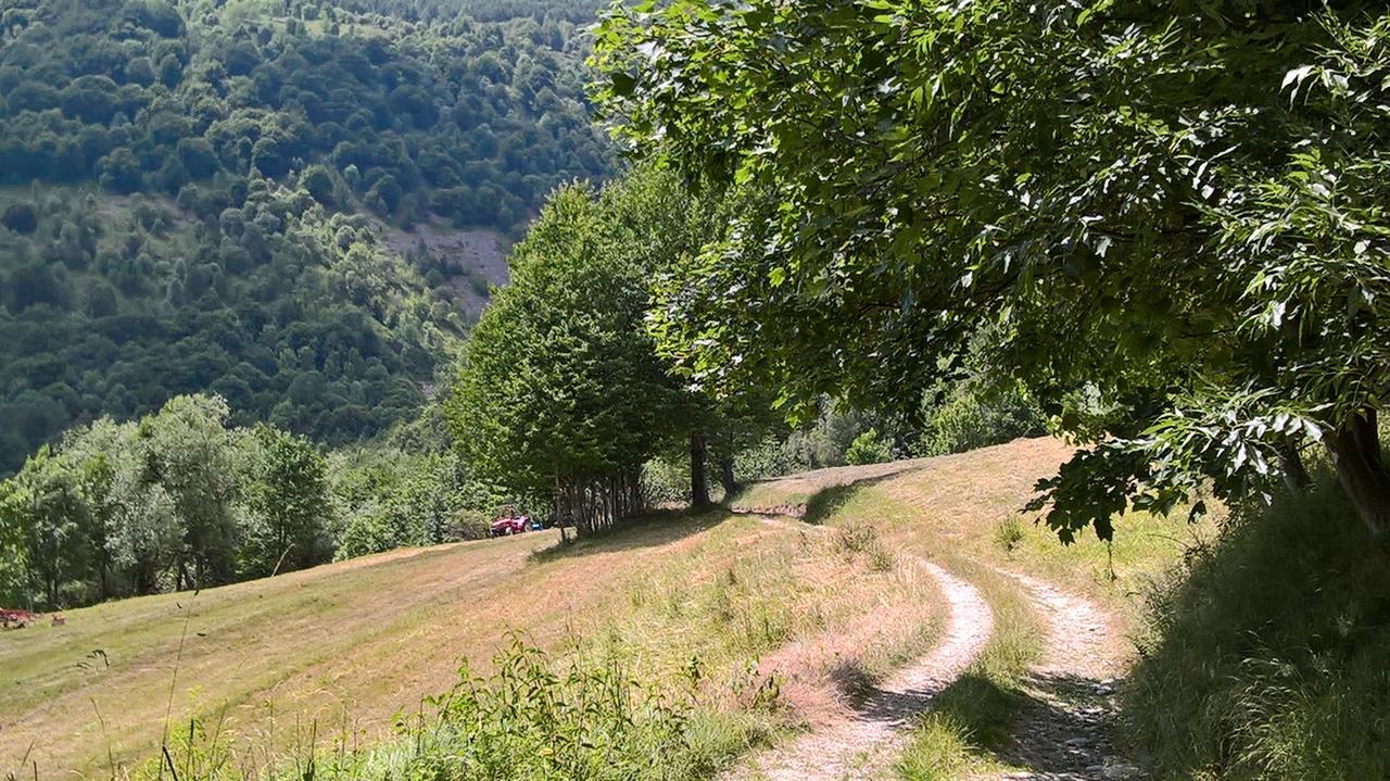 Hotel Dell' Olmo Ormea Luaran gambar